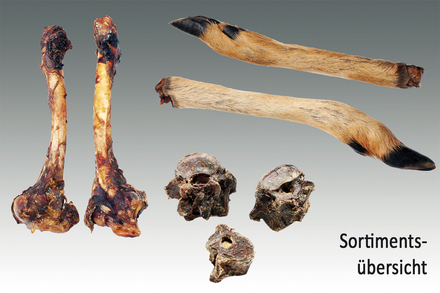 Wild-Kauartikel: Wildschweinknochen