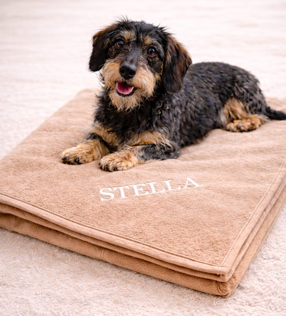 PERSONALISIEREN: Kuscheldecke „Karamell“ – Hygienisch, kochfest, hochwertig & personalisierbar - 3 Größen