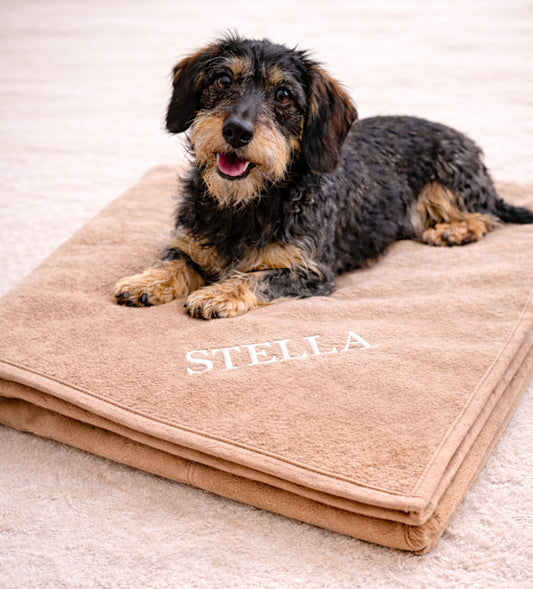 PERSONALISIEREN: Kuscheldecke „Karamell“ – Hygienisch, kochfest, hochwertig & personalisierbar - 3 Größen