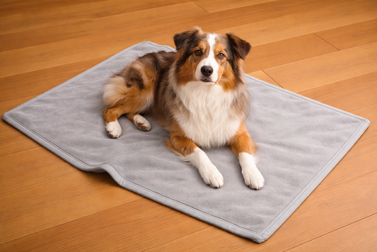 Kuscheldecke „Hellgrau“ – Hygienisch, kochfest, hochwertig - 3 Größen