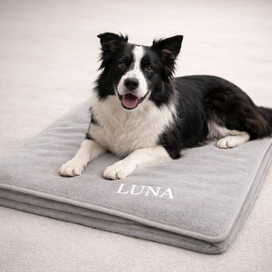 PERSONALISIEREN: Kuscheldecke „Hellgrau“ – Hygienisch, kochfest, hochwertig & personalisierbar - 3 Größen