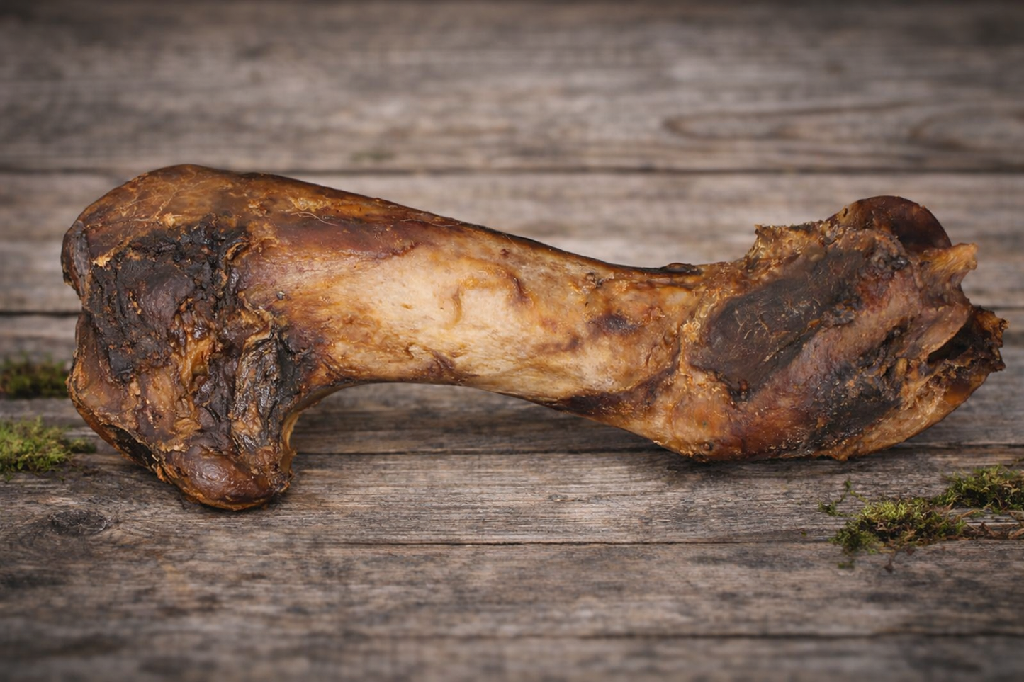 Wild-Kauartikel: Wildschweinknochen