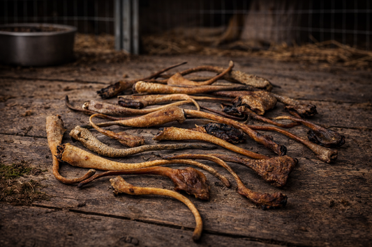 Wild-Kauartikel: Wildschweinschwänze, ca. 500g