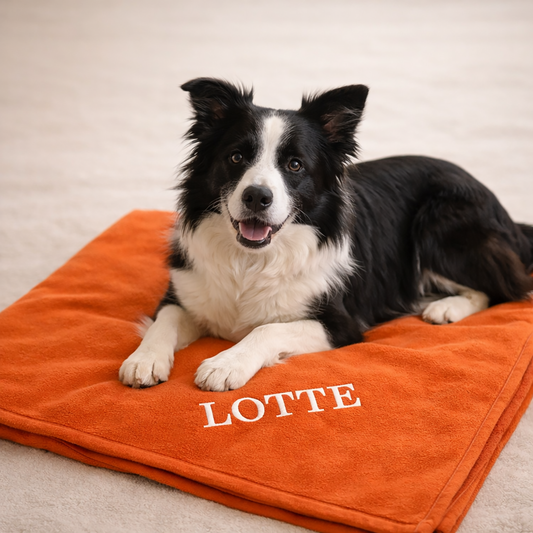 PERSONALISIEREN: Kuscheldecke „Terracotta“ – Hygienisch, kochfest, hochwertig & personalisierbar - 3 Größen