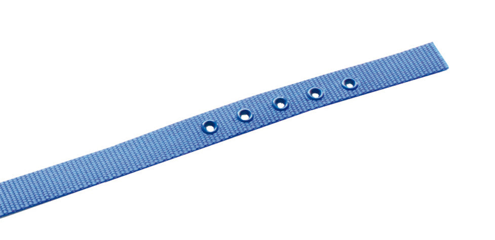 PERSONALISIEREN: Halsband Nylon, dupliert, geriegelt - verschiedene Farben und Größen
