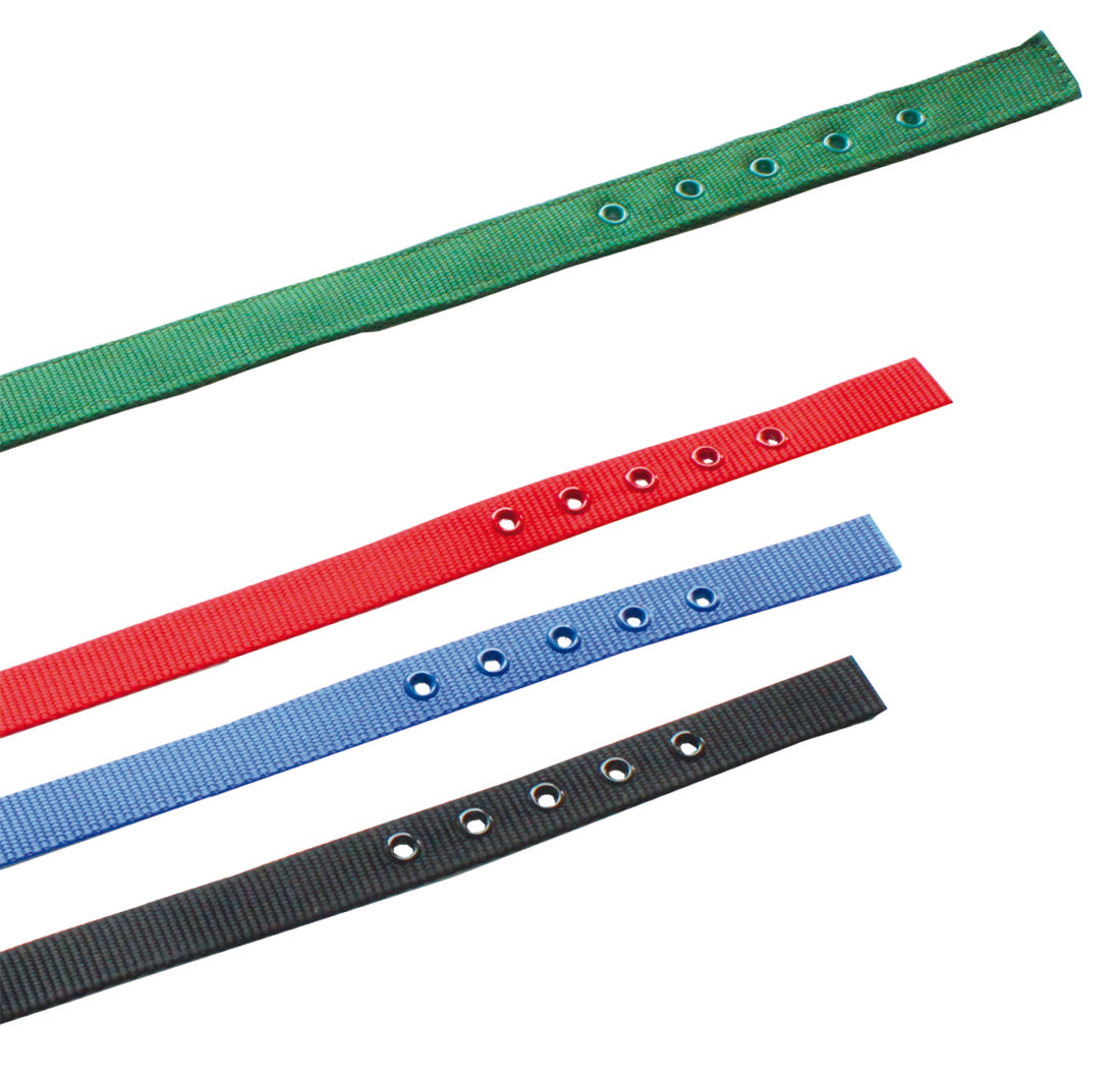 PERSONALISIEREN: Halsband Nylon, dupliert, geriegelt - verschiedene Farben und Größen