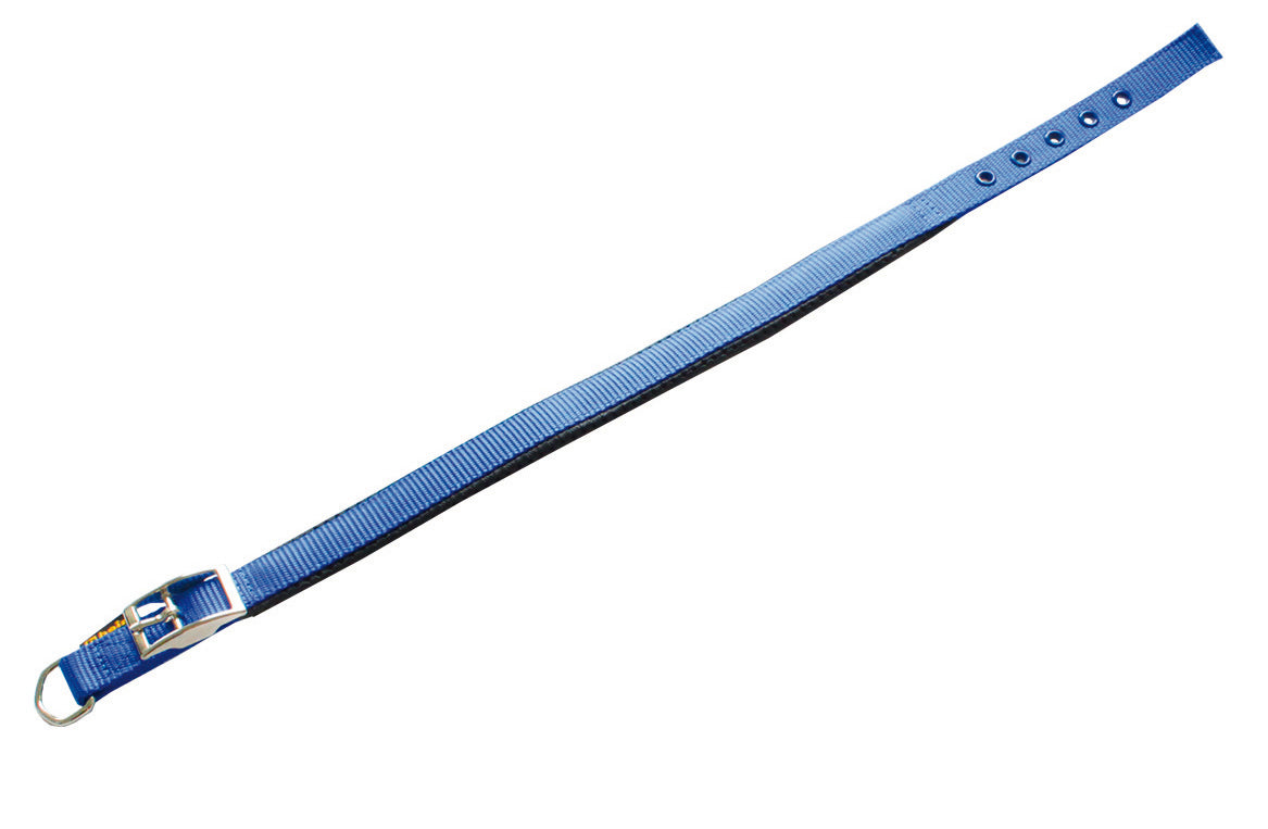 PERSONALISIEREN: Halsband Nylon, dupliert, Futter-Neopren - verschiedene Farben und Größen
