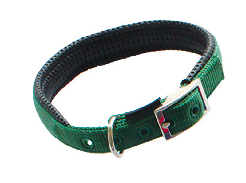 PERSONALISIEREN: Halsband Nylon, dupliert, Futter-Neopren - verschiedene Farben und Größen