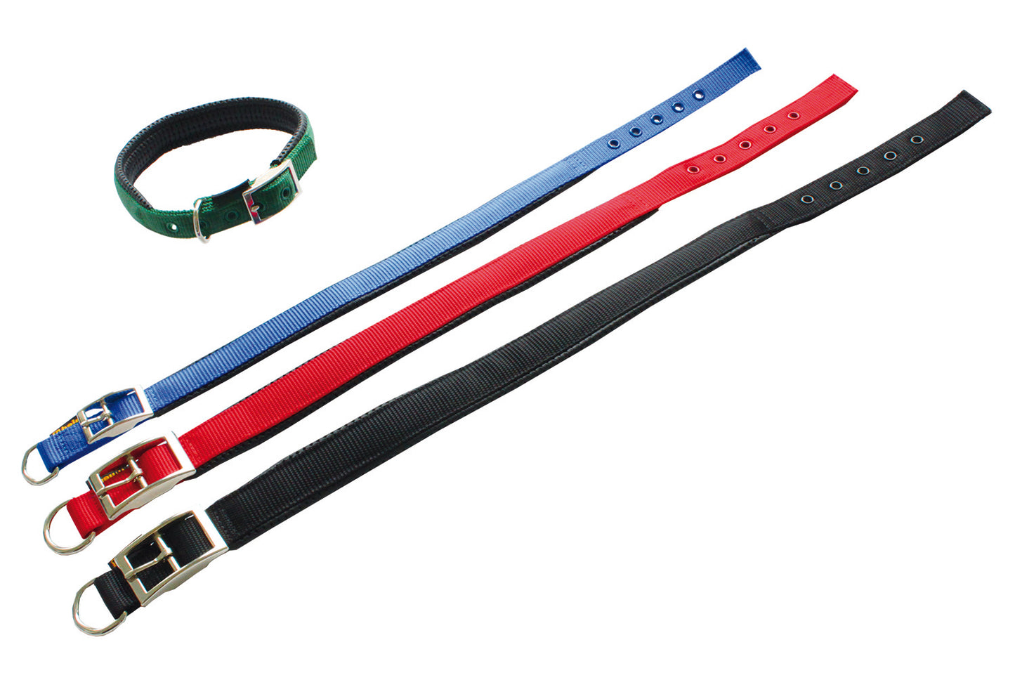 PERSONALISIEREN: Halsband Nylon, dupliert, Futter-Neopren - verschiedene Farben und Größen