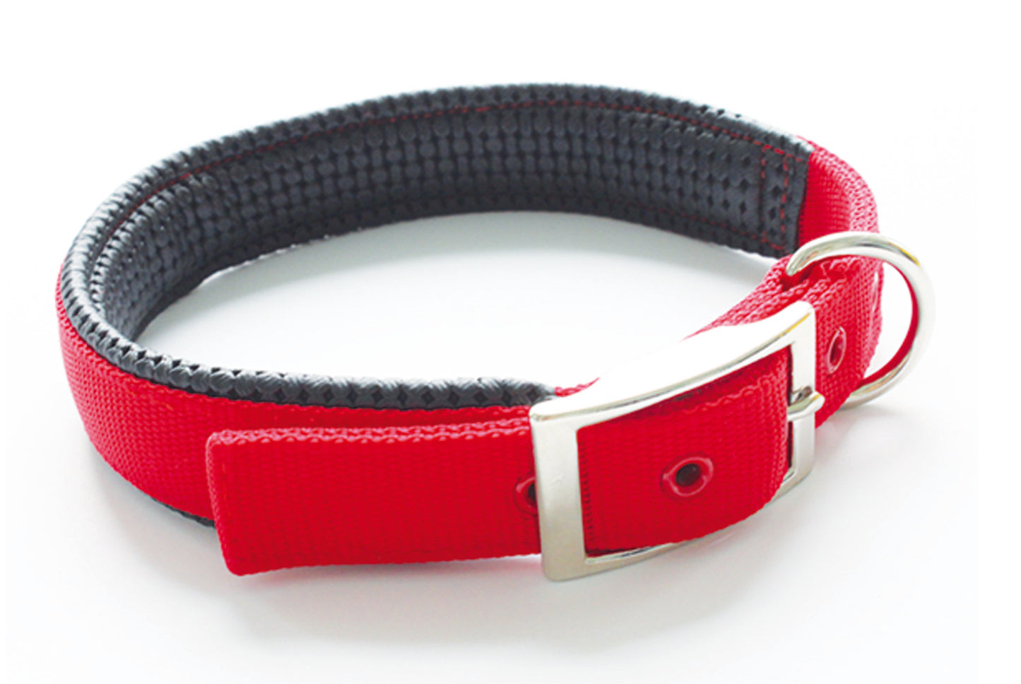 PERSONALISIEREN: Halsband Nylon, dupliert, Futter-Neopren - verschiedene Farben und Größen