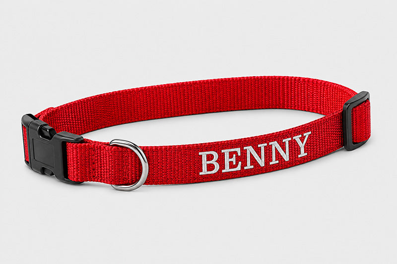 PERSONALISIEREN: Halsband Nylon, geriegelt - verschiedene Farben und Größen