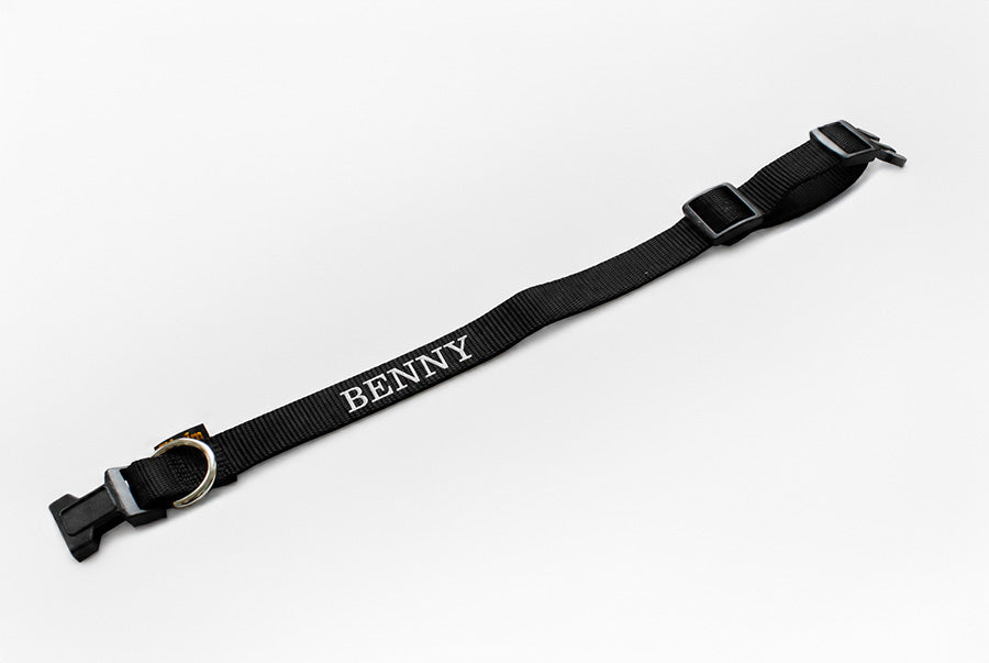 PERSONALISIEREN: Halsband Nylon, geriegelt - verschiedene Farben und Größen