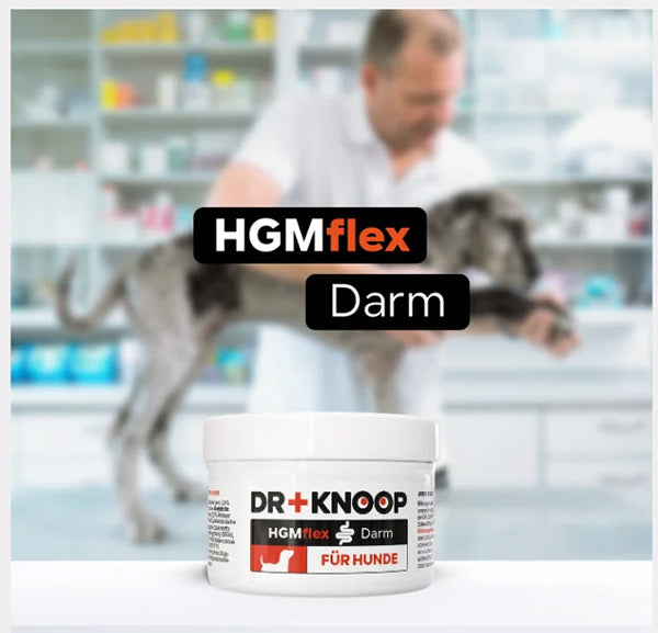 HGMflex Darm – Natürliches Darmpulver für Hunde