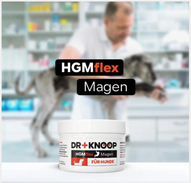 HGMflex Magen – Natürliches Magenpulver für Hunde