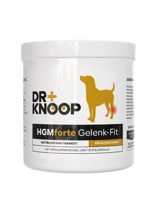 HGMforte – Natürliches Gelenkpulver für ältere Hunde