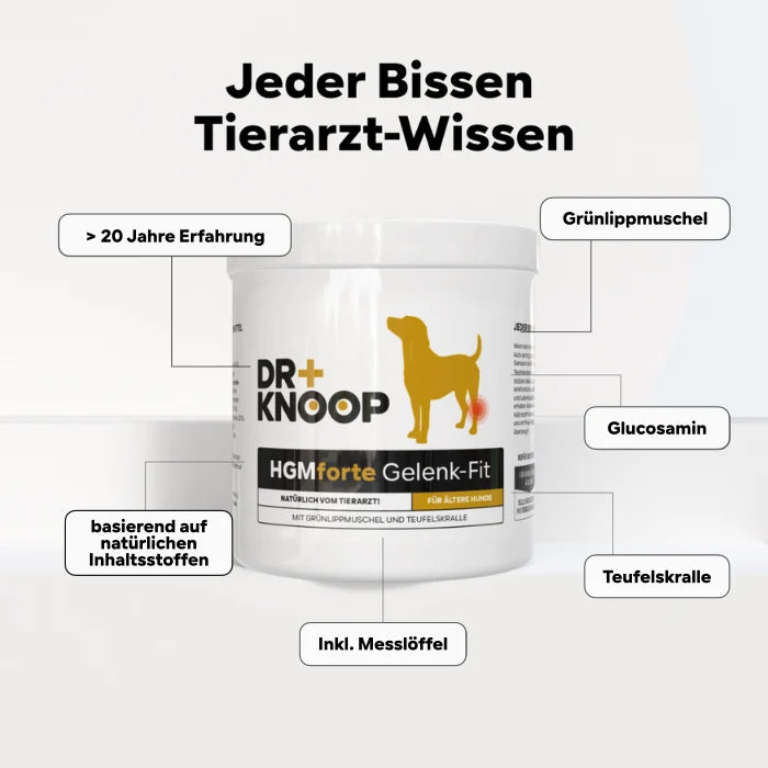 HGMforte – Natürliches Gelenkpulver für ältere Hunde