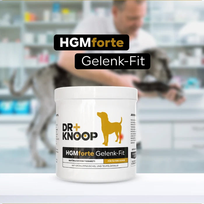 HGMforte – Natürliches Gelenkpulver für ältere Hunde