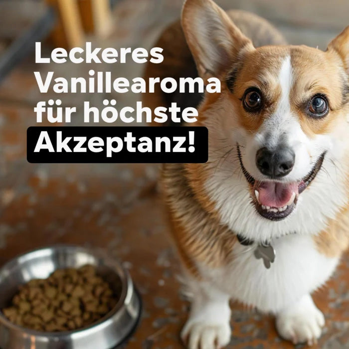 HGMforte – Natürliches Gelenkpulver für ältere Hunde