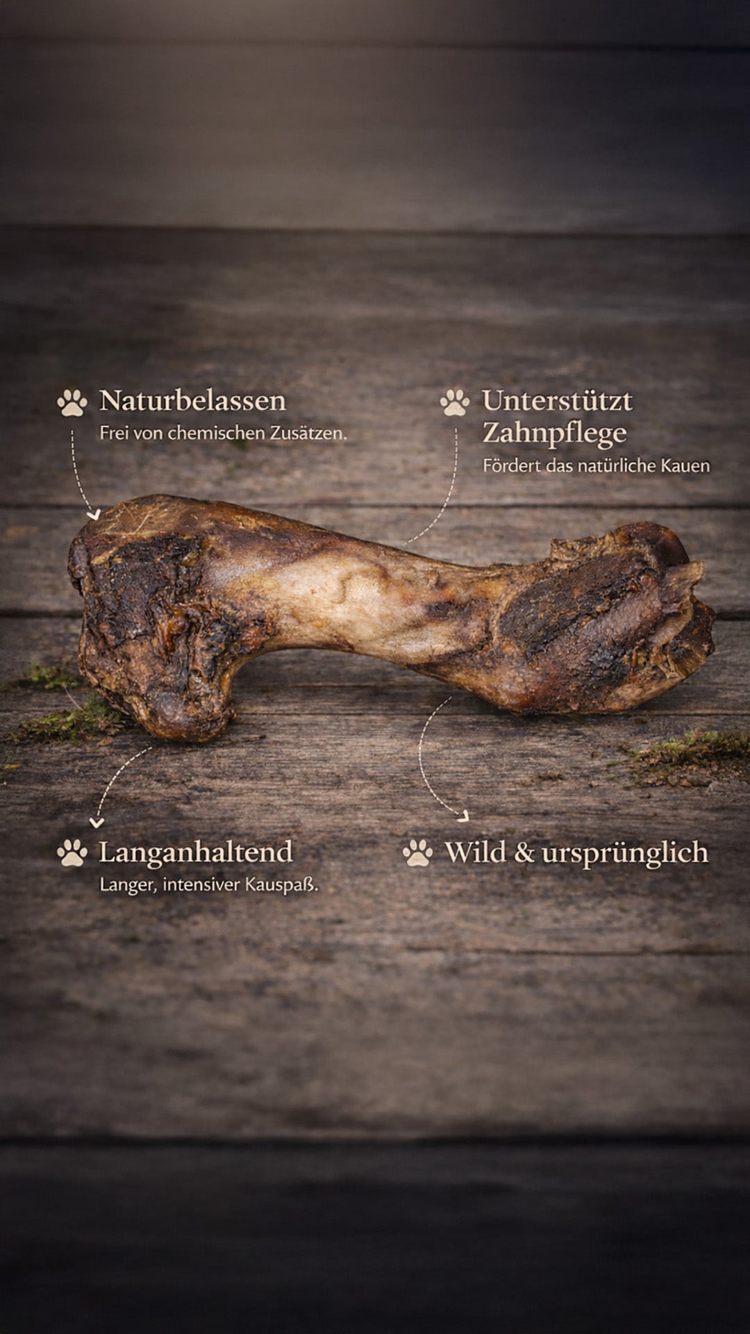 Schlupfloch Kollektion